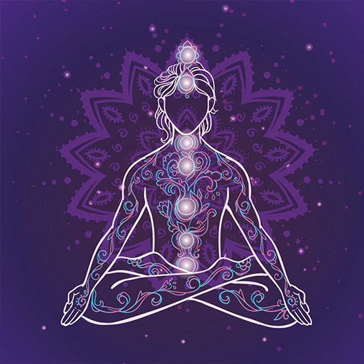 Welcome to Hansraj Institute